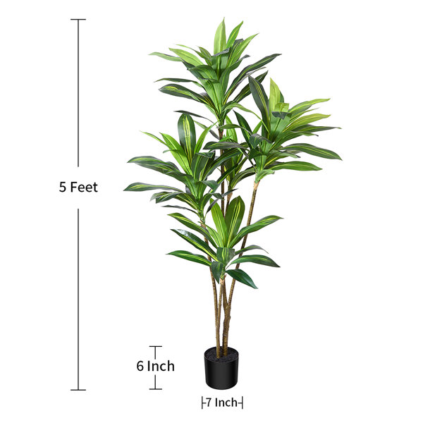 Primrue Adcock Artificial Dracaena Tree in Pot, Faux Dracaena Plant